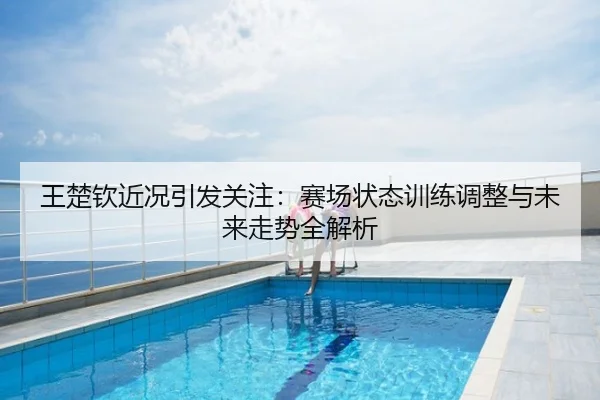 王楚钦近况引发关注：赛场状态训练调整与未来走势全解析